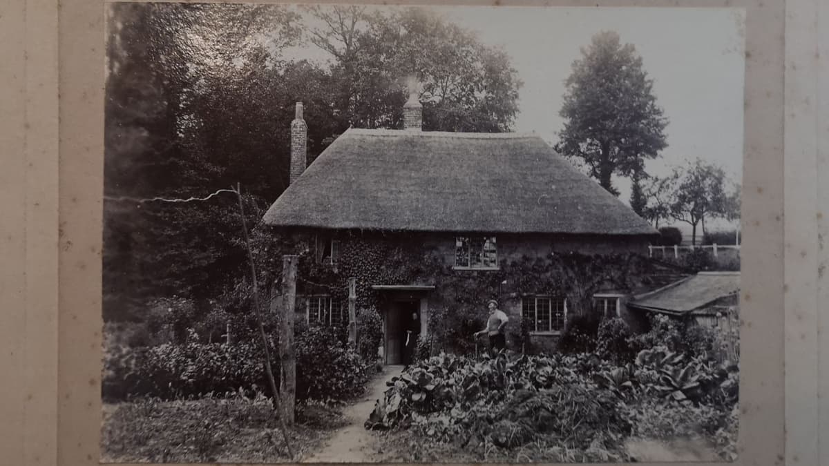Can you help identify thatched Wellington cottage photographed 100